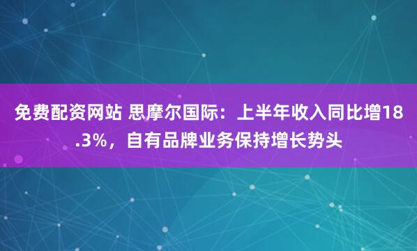 免费配资网站 思摩尔国际：上半年收入同比增18.3%，自有品牌业务保持增长势头
