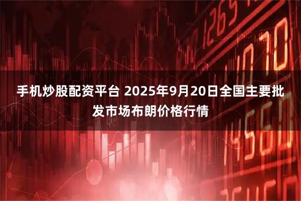 手机炒股配资平台 2025年9月20日全国主要批发市场布朗价格行情