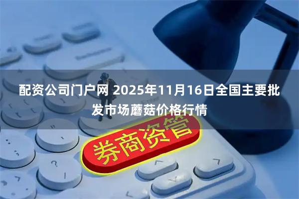 配资公司门户网 2025年11月16日全国主要批发市场蘑菇价格行情